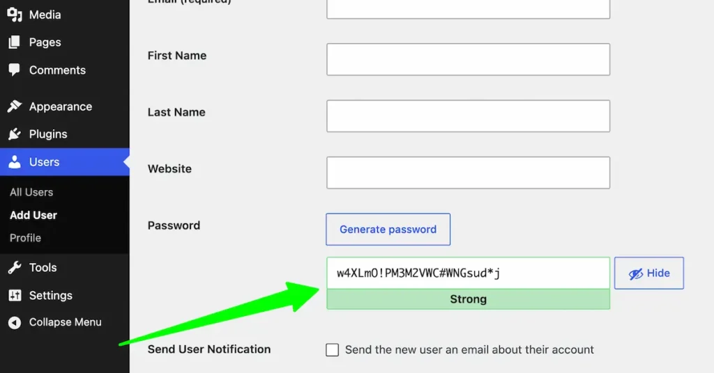 WordPress Security for Beginners: A Simple Checklist 1 adding a strong password