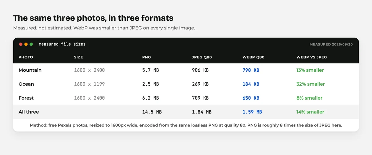 WebP vs JPEG vs PNG vs AVIF: Which Image Format Should You Use in WordPress? 2 Three photos measured as WebP, JPEG and PNG with real file sizes compared