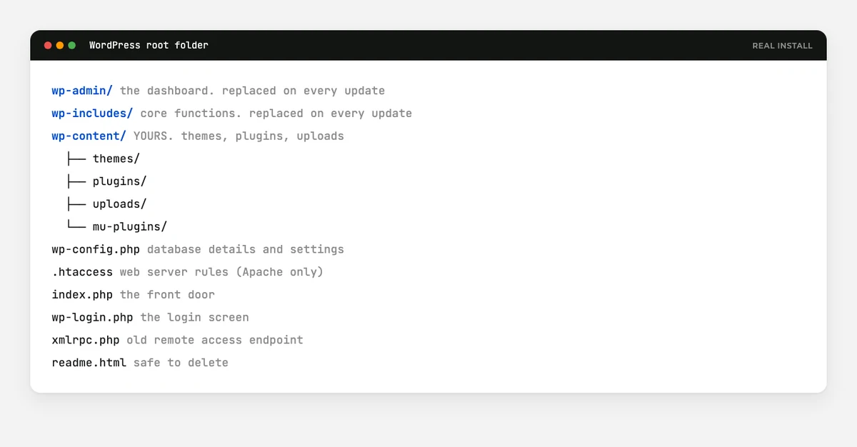 WordPress File Types Explained: A Complete Beginner's Guide 3 The WordPress root folder showing wp-admin, wp-content and wp-includes
