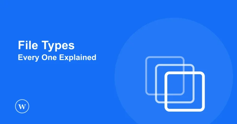 Blog 5 All the WordPress file types explained in one beginner guide