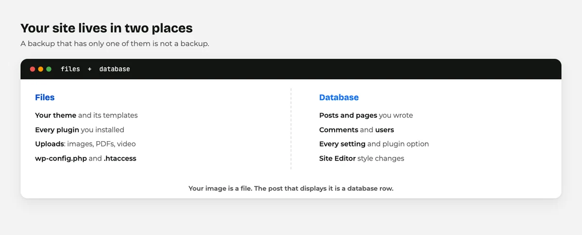 WordPress File Types Explained: A Complete Beginner's Guide 4 Diagram showing WordPress files and database holding different parts of a site